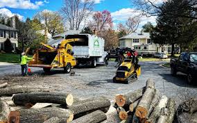 Best Artificial Turf Installation  in Loving, NM